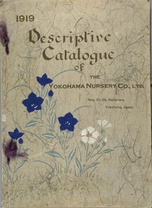 Catalogo 1919 Yokohama Nursery