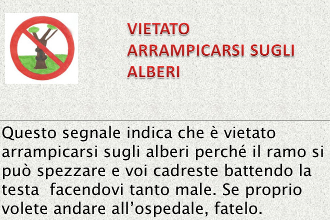 Vietato salire sugli alberi