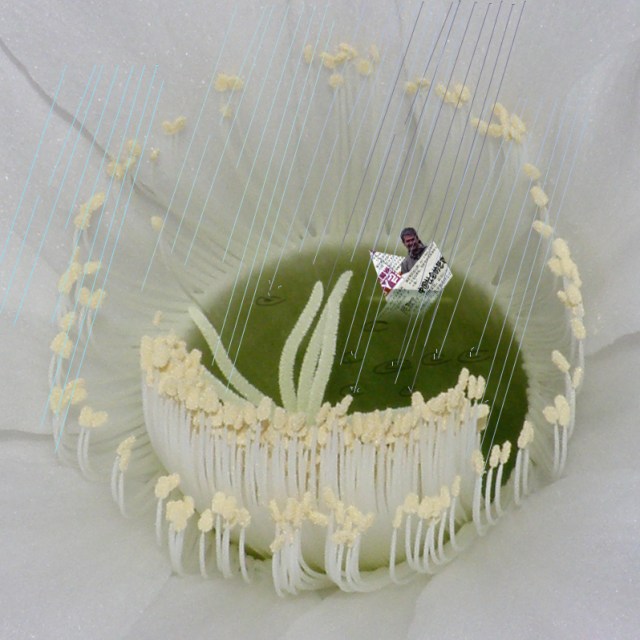 Lac de la musique-Les jardins rêvés Paolo