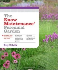 51tqB-gMwfL._SX258_BO1,204,203,200_