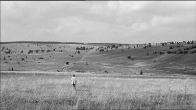 wenders nelcorsodeltempo (21)