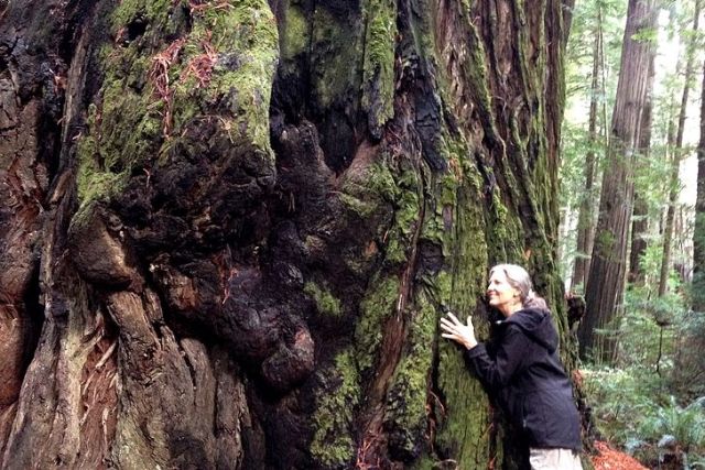 24f459_7a1f2587af90407e9256bb6a19fccda1