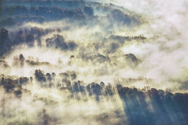 living_forest_clouds_rays_trees.jpg.990x0_q80_crop-smart