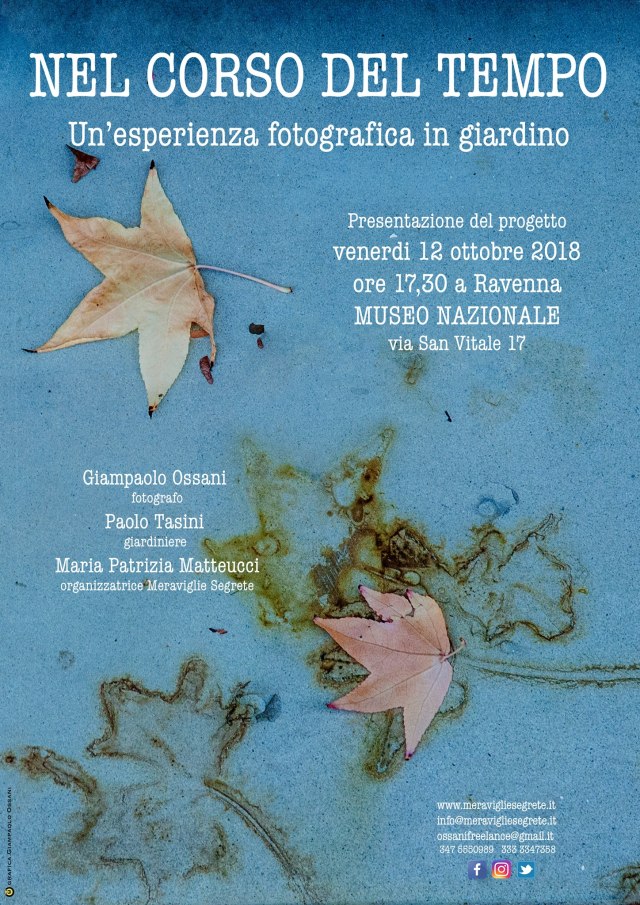 42524092_1003675856460328_23646191556231168_o